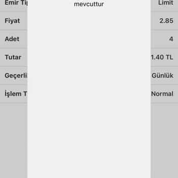 ING Bankası'nda Yatırım İşlemleri Tamamen Durduruldu!