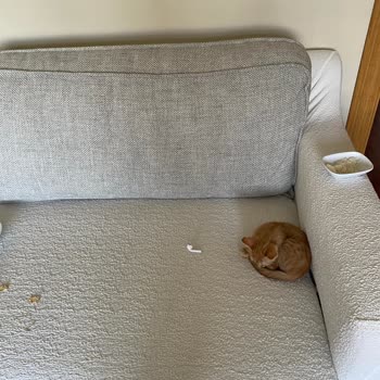 Sipariş Sonrası Eksik Ürün Ve Yetersiz İletişim Sorunu