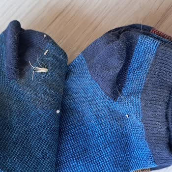 FLO'dan Gelen Ürünler Kirli Ve Eksik Kontrol Ediliyor, İade Sürecinde Mağduriyet Yaşadım