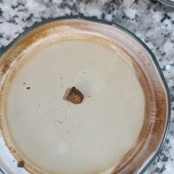 Kahvenin İçinden Sert Cisim Çıkması Sağlığımı Tehdit Etti