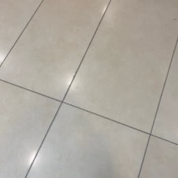 Olivium Tavuk Dünyası'nda Yetersiz Karşılama Ve Yavaş Servis Deneyimi