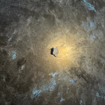 Aldığım Ürünlerde Kemik Parçaları Çıkması Ve Sorunun Sürekliliği