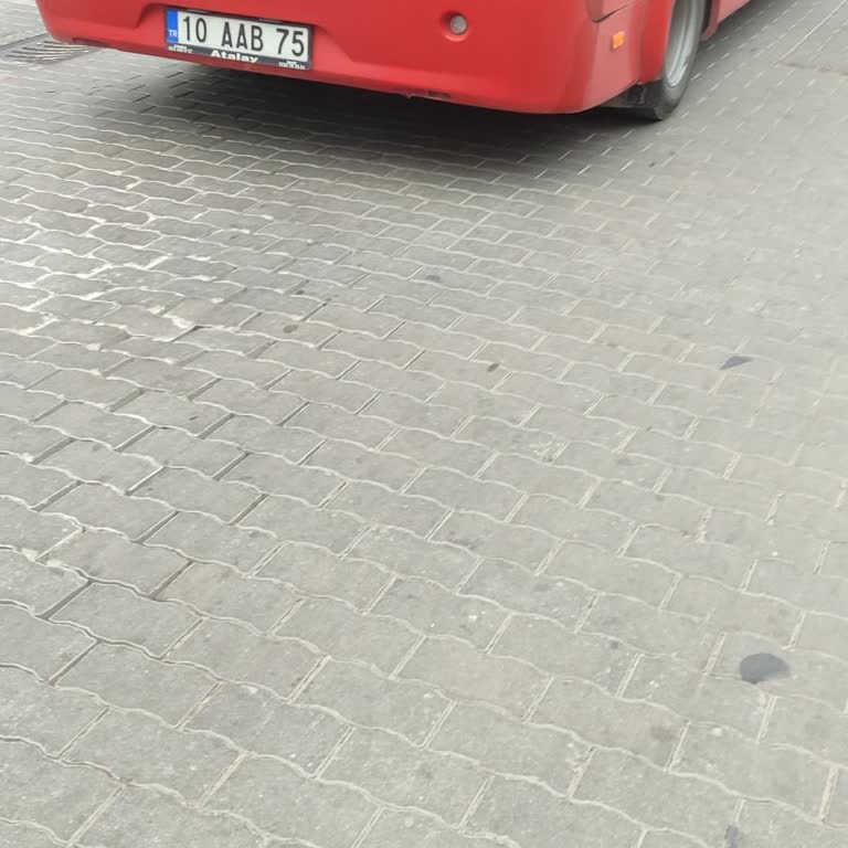 Küçük Köpeğimle Otobüse Alınmadım, Şoför Saygısız Davrandı