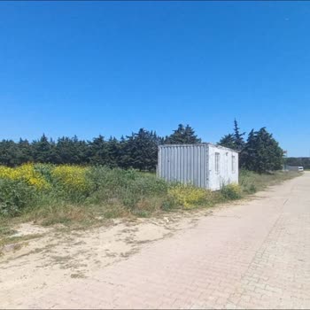 Mahallede Yol ve Kaldırım Sorunları