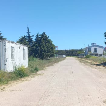 Mahallede Yol ve Kaldırım Sorunları