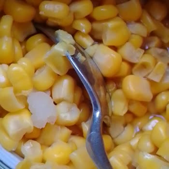 Konserve Mısırdan Yabancı Madde Çıkması Nedeniyle Hayal Kırıklığı Yaşadım