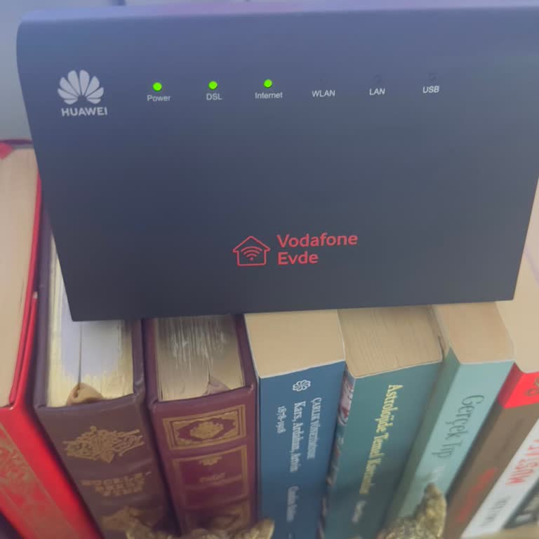 6 Gündür İnternet Yok, Müşteri Hizmetlerine Ulaşamıyorum