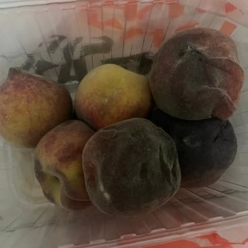 Aldığım Çürük Şeftalinin İadesi Yapılmıyor, Müşteri Hizmeti Yetersiz