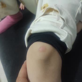 Penguen Termos Şikayeti