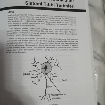Kitapta Eksik Sayfalar Ve Cevap Anahtarı Sorunu