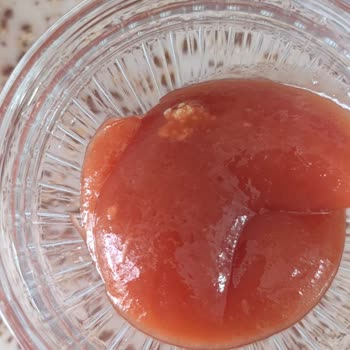 Ketçapta Karşılaşılan Yabancı Maddeler Hakkında Şikayet