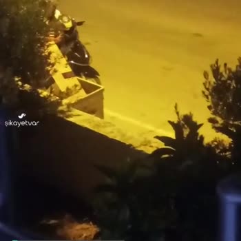 Serik Belediyesi Duyarsızlığı!