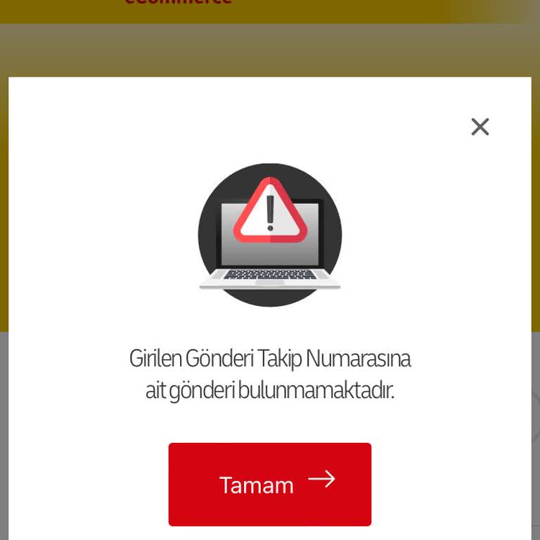 Kargom Kayıp, Takip Edemiyorum Ve Mağdurum!