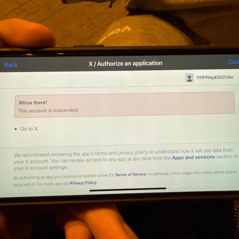 Satın Aldığım Hesap Askıya Alındı, Giriş Yapamıyorum