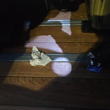 Nilüfer Turizm'de Saygısız Personel Ve Kötü Yolculuk Deneyimi