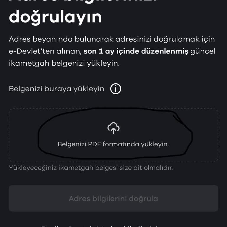 Paribu'da Belge Yükleme Adımı Sürekli Hata Veriyor, Kayıt İşlemi Çok Zorlaşıyor