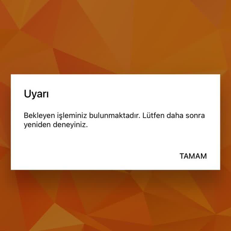 ALES 2 Ödeme Hatası Nedeniyle Mağduriyet Yaşıyorum
