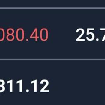 Borsa Hesabımdaki Eksik Para Ve Ulaşılmayan Müşteri Hizmetleri