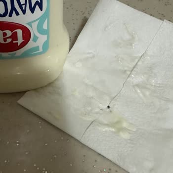 Tat Mayonezde Hijyen Sorunu Ve Siyah Toz Parçaları Şoku