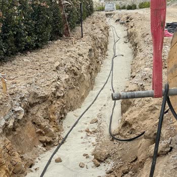 Pronet Cezai İşlem Tehdidiyle Sorunumu Çözmeyen Firma Deneyimi