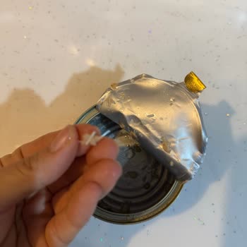 Ton Balığının İçinden Yabancı Cisim Çıkması Nedeniyle Sağlık Riski Ve Hayal Kırıklığı