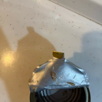 Ton Balığının İçinden Yabancı Cisim Çıkması Nedeniyle Sağlık Riski Ve Hayal Kırıklığı