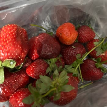 Migros Sanal Marketten Gönderilen Meyveler Kötü Ve Çürük Çıktı