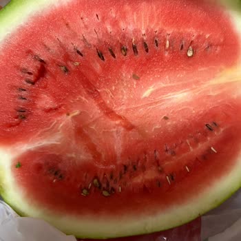 Migros Sanal Marketten Gönderilen Meyveler Kötü Ve Çürük Çıktı