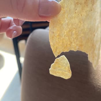 Aldığım Cipsin İçinden Yabancı Madde Çıktı, Firma Dönüş Yapmadı