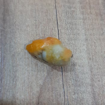 Soslu Fıstık Paketi İçinden Salyangoz Çıktı!