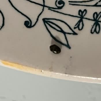 Noodle Ürününde Böcek Çıkması Nedeniyle Yaşadığım Olumsuz Deneyim