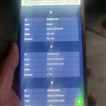 Bahis Sitesinde Promosyon Sonrası Bakiye Silinmesi Ve Destek Sorunu