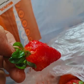 Migros Tıkla Gel Siparişimde Bozuk Çilek Ve Yetersiz Müşteri Hizmeti