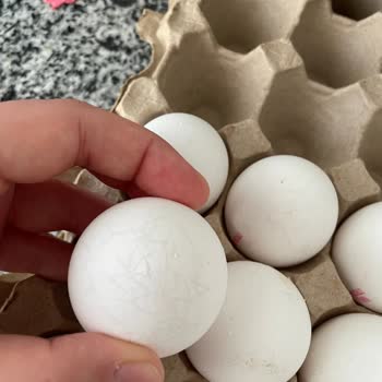 File Market Kırık Çıkan Yumurta