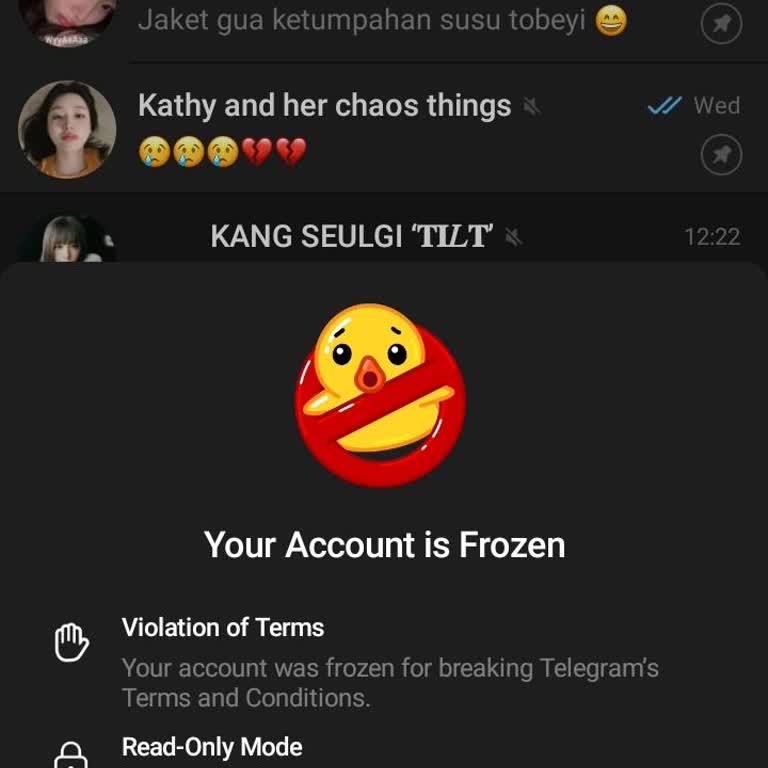 Request to Unfreeze Telegram Account