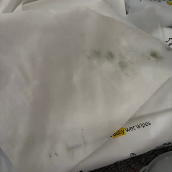 Sleepy Yenidoğan Islak Mendilde Küf Şoku Ve Hayal Kırıklığı