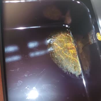 Yeni Alınan Fırının Boyası İlk Kullanımda Yandı