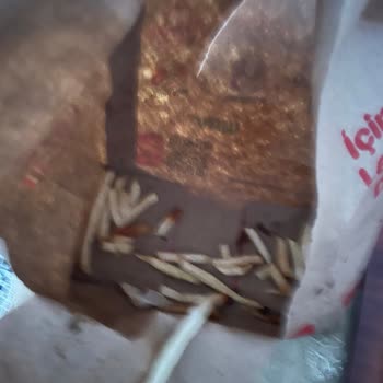 Siparişim Geç Ve Eksik Teslim Edildi, Ürünler Soğuk Ve Yanık Geldi