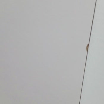 Bagax Kırık Ve Ezilmiş Dresuar İçin Çözüm Sunulmadı