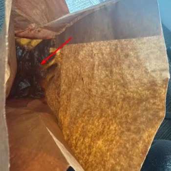 Popeyes Siparişimde Fiş Verilmedi Ürünler Eksik Ve Hijyen Sorunları Yaşandı