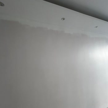 Polisan Elegans Gece Beyazı Hayal Kırıklığı Yarattı