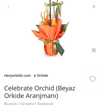 Aynı Gün Teslimat Seçeneği Yanıltıcı Çıktı