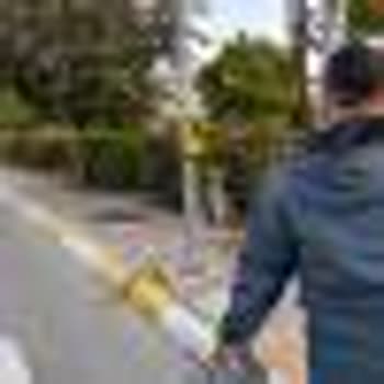 Çayırova'da Sokak Köpekleri Sorunu Bir Yıldır Çözülmüyor