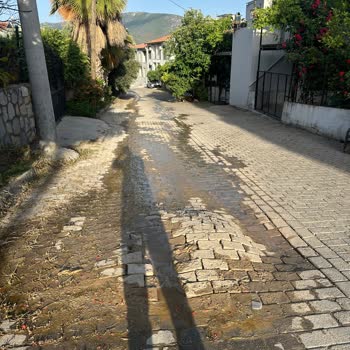 Bir Haftadır Mahalledeki Su Kaçağına Müdahale Edilmiyor
