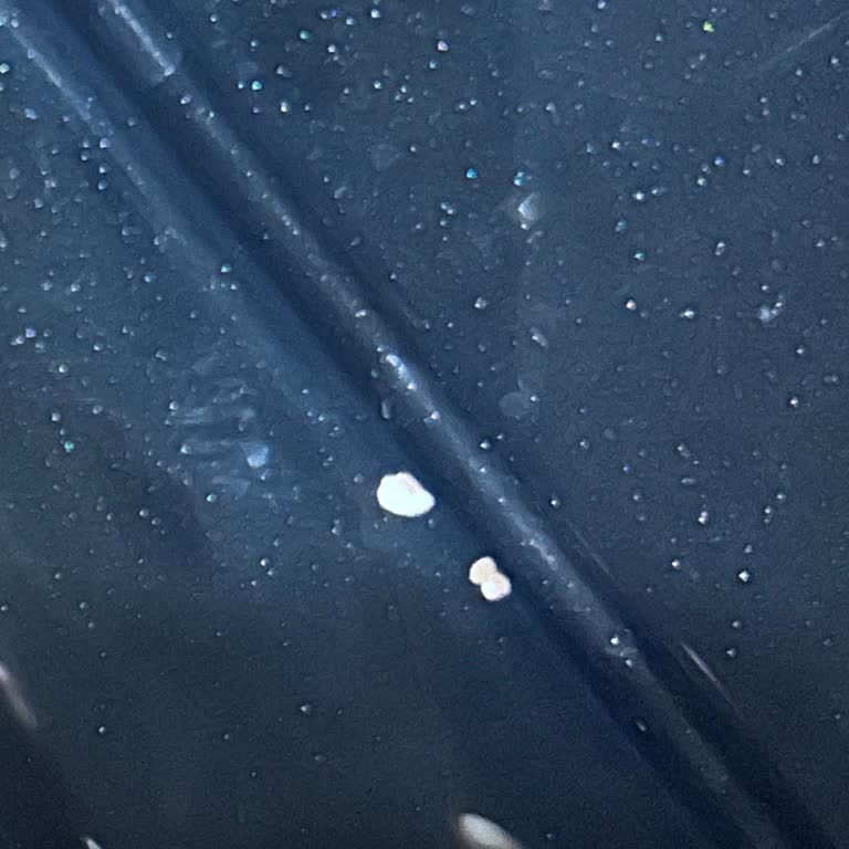 Yeni Opel Grandland'da Tavan Boya Atması Ve Firma İlgisizliği