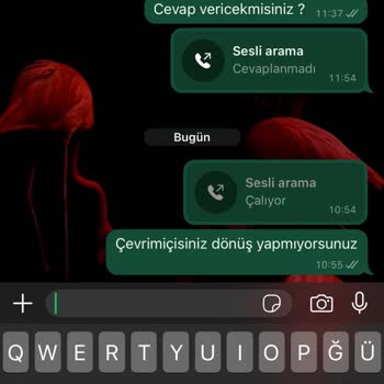 Sipariş Yok, İletişim Yok, Param Kayıp