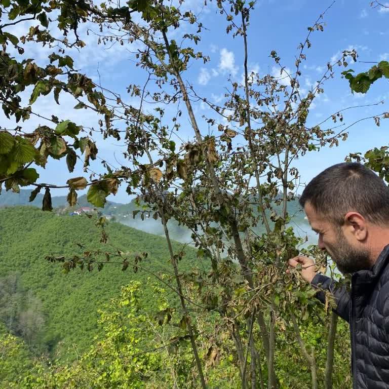 Eksperin Yetersiz İncelemesiyle Haksız Sonuç