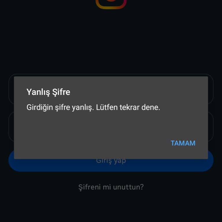 Ich komme seit Monaten nicht in meinen Instagram-Account