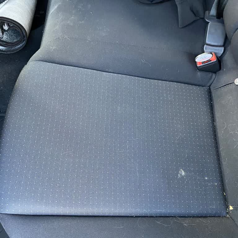 Bakım Sonrası Araçta Hayvan Tüyü Ve Lekelerle Karşılaştım