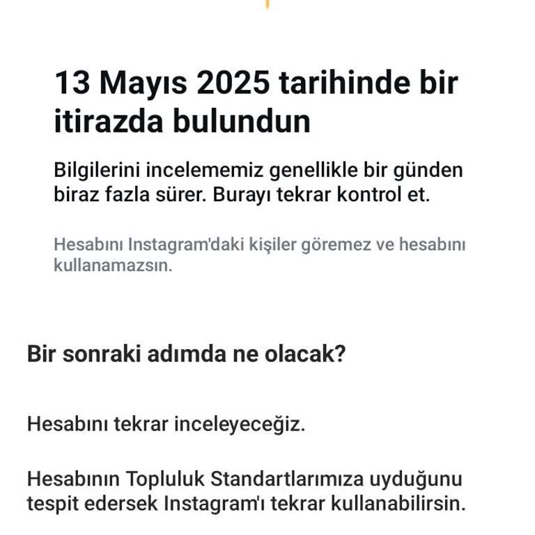 Instagram Sosyal Medya Hesap Kapatmalarında İtiraz Ve Destek Mekanizması Eksikliği